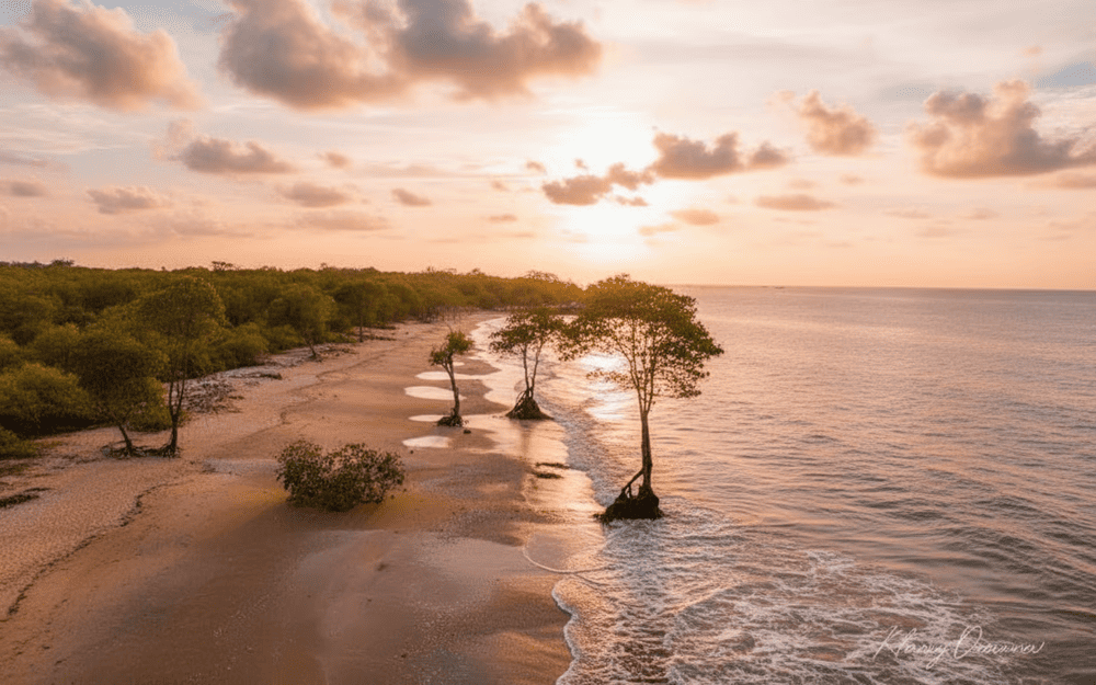 Nên theo dõi dự báo thủy triều hoặc hỏi người dân địa phương để chọn thời điểm nước rút đẹp nhất
